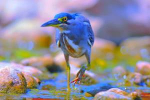 多特蒙德艰难取胜，展望晋级机会